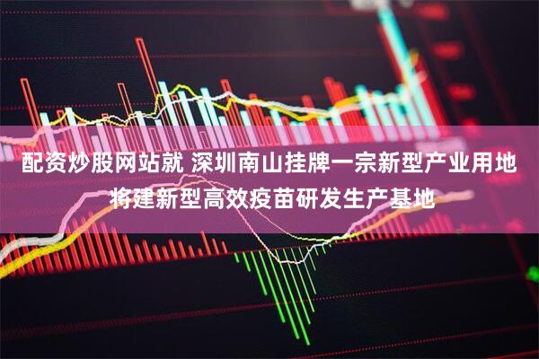 配资炒股网站就 深圳南山挂牌一宗新型产业用地 将建新型高效疫苗研发生产基地